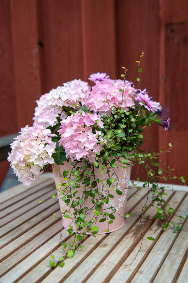 Mangelgardens B&B Söderköping Extérieur photo